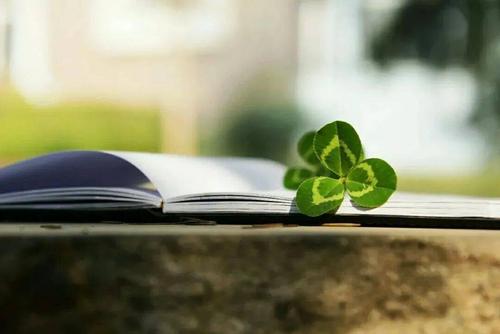 安静是一种享受的散文,安静是一副良药可以治愈一切