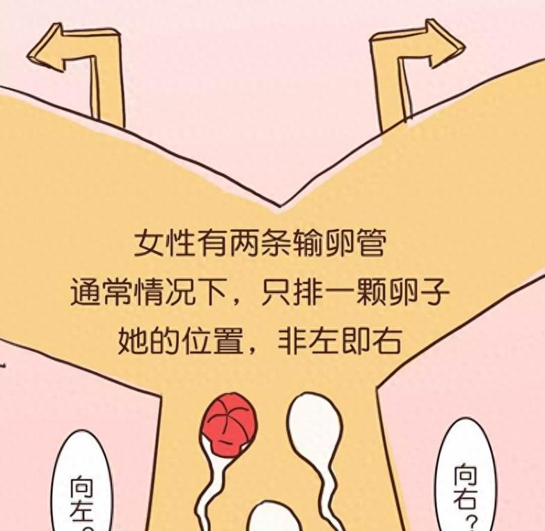 失落的小勇士们,踏上了怀孕之路