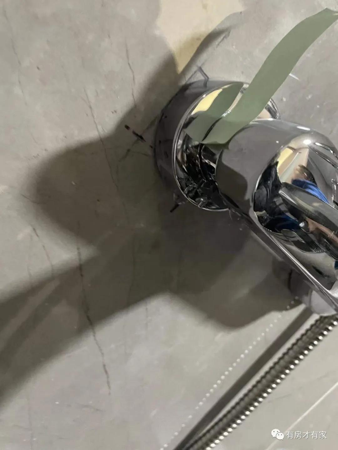 甯哥啛姗℃爲婢滄咕楠屾埧,楠屾埧娣卞害鍒嗘瀽鏂版埧