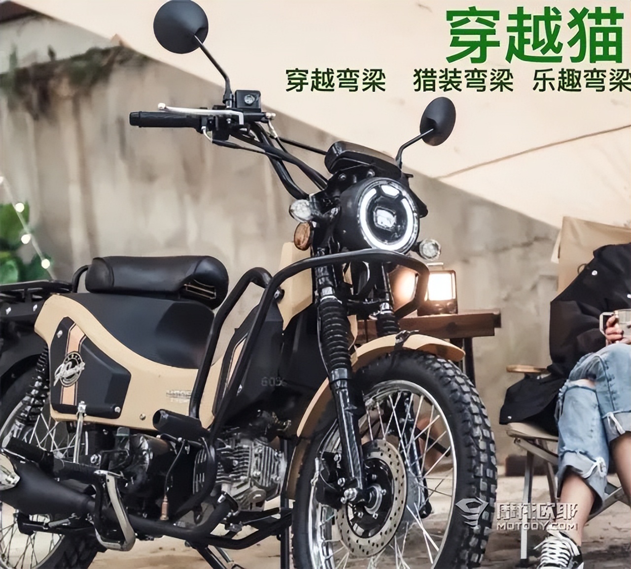 弯梁车性价比排行榜,国产弯梁4000元推荐