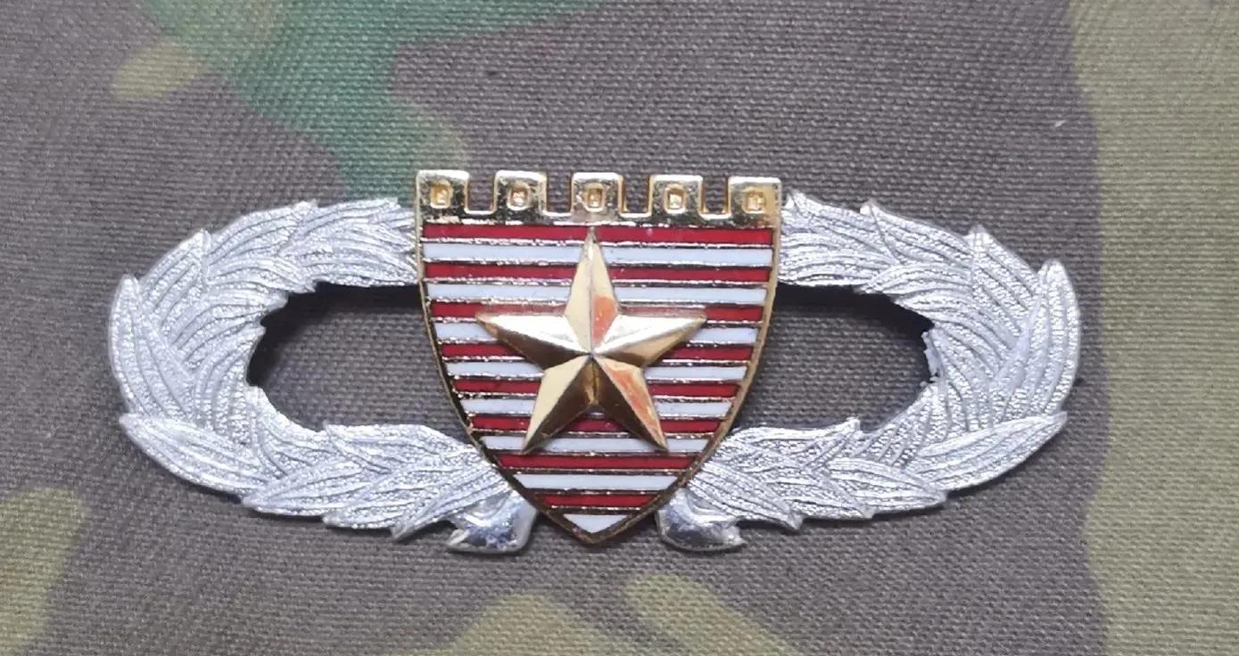 常服陆军军种胸标,陆军新式胸标普及了吗