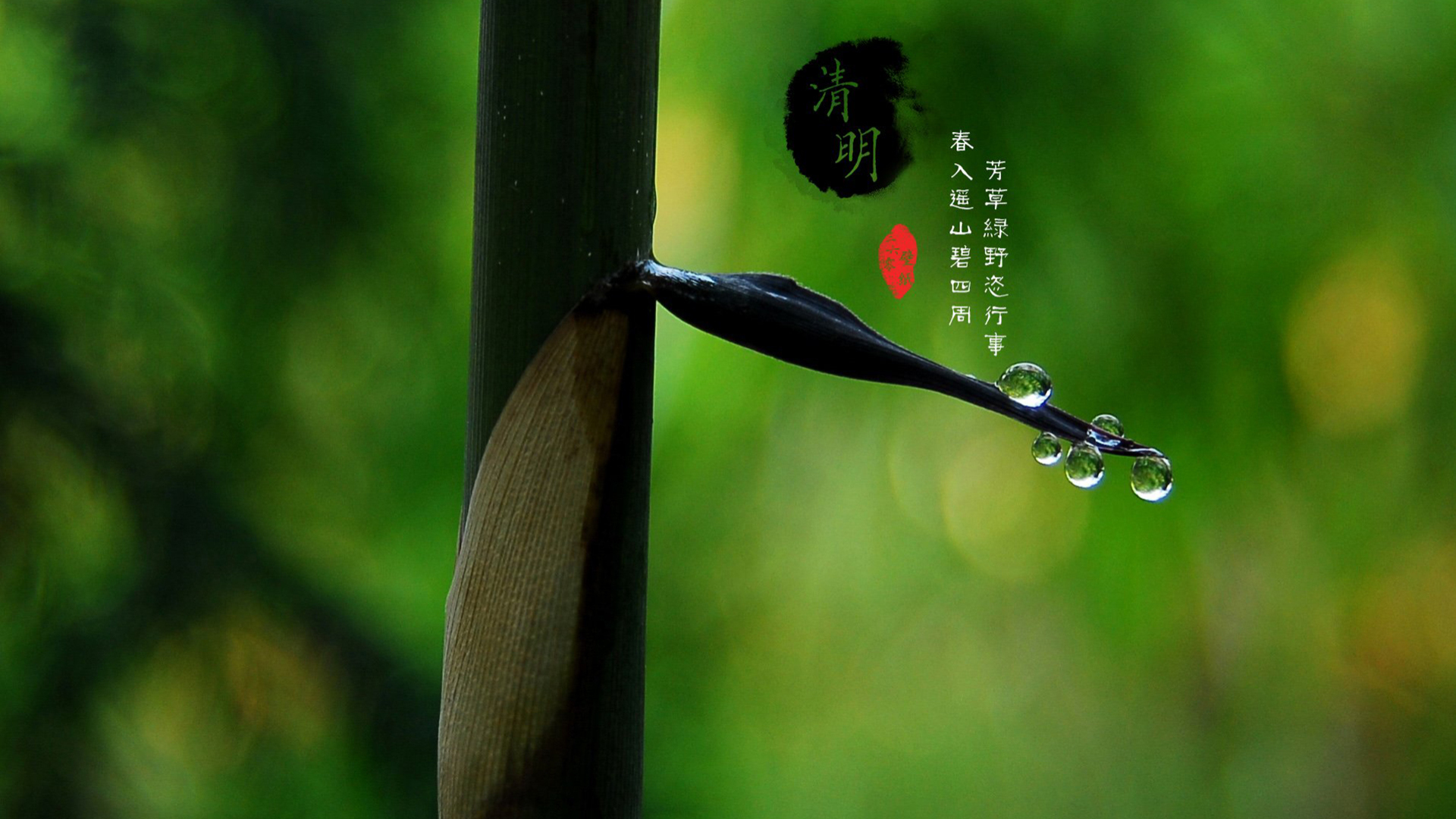 清明节祭祖这十件事不能做,清明节祭祖九大禁忌知识