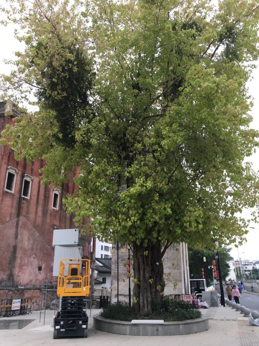 旭光电动车行,旭光车行向阳路