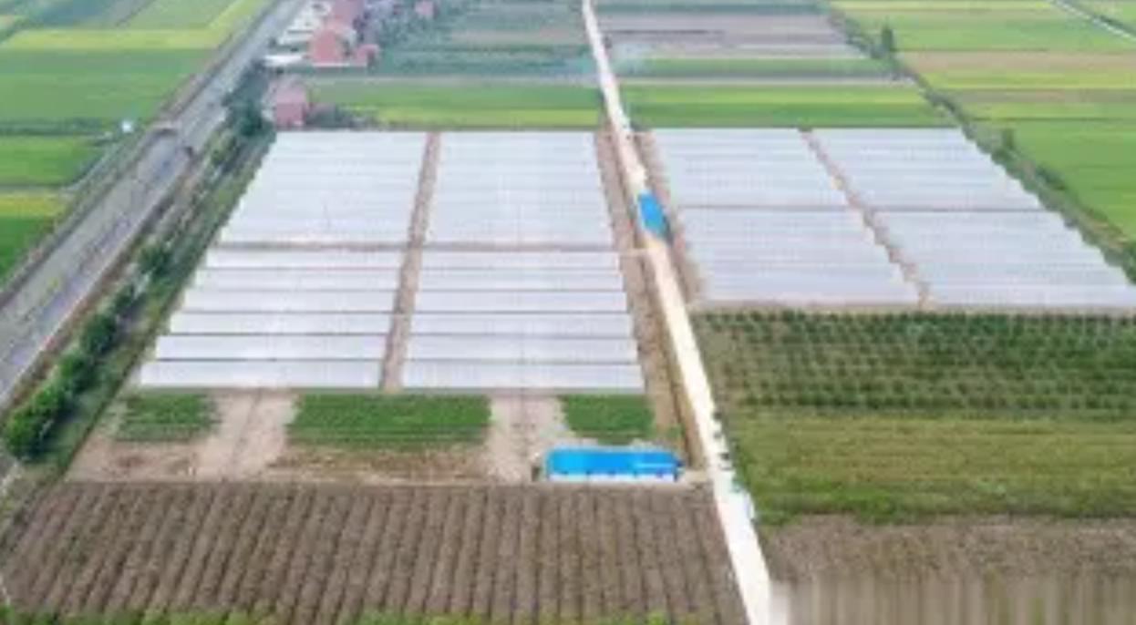 日本人在中国租了1500亩地多少钱,日本人在中国租1500亩地后续