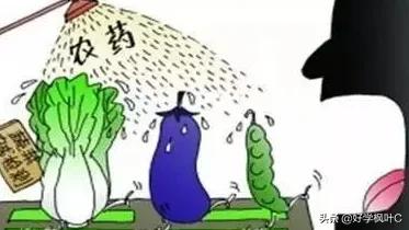 农村老头的脚丫子，远比超标添加剂、超标农药残留安全卫生得多