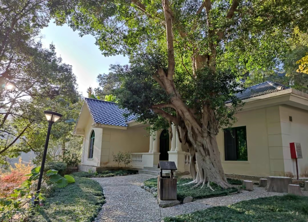 广东最值得推荐的温泉度假村,广东第一峰温泉是真温泉