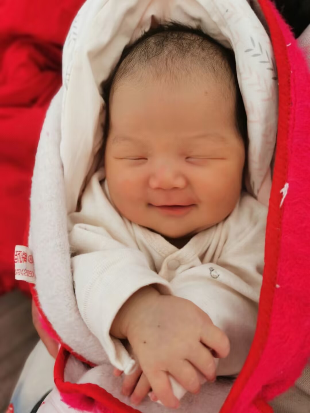 生娃需谨慎带娃有风险,生娃需谨慎养娃要用心