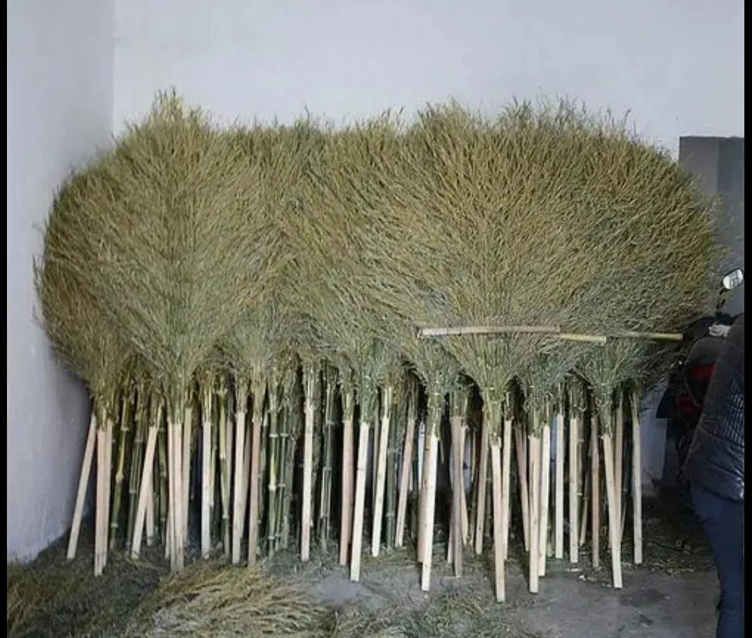 想在农村创业需要了解什么,农村创业需要满足哪几个条件