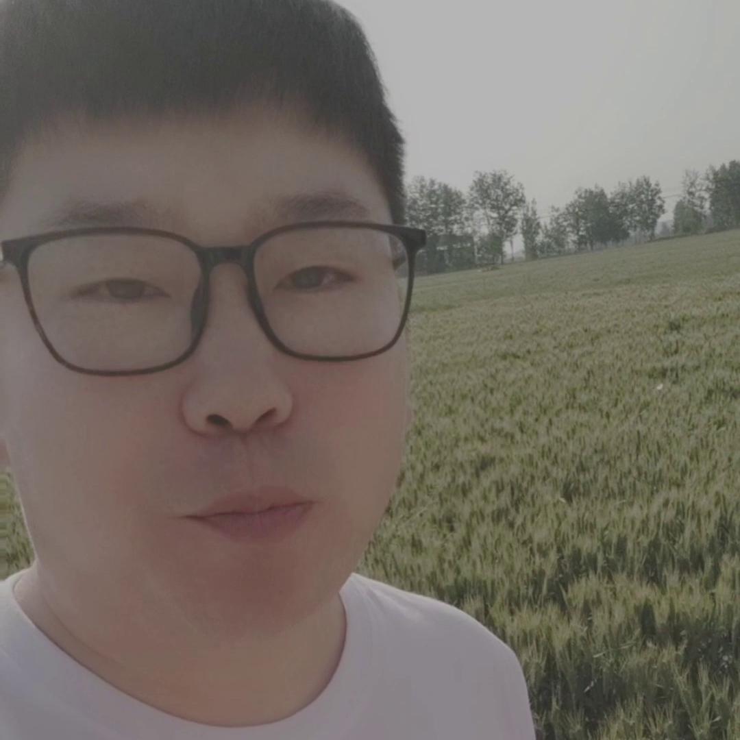 100元左右的玉米能买什么,100元的玉米肥