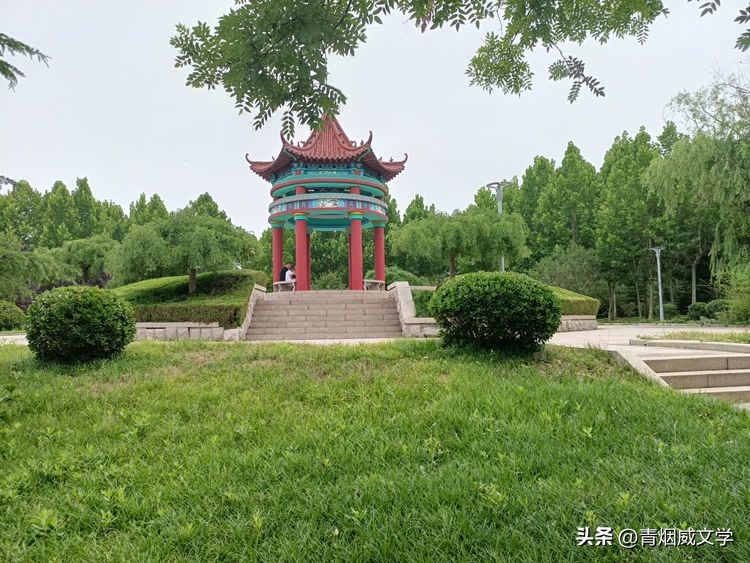 描写清风蝉鸣荷香湖边的古诗词,描写初夏荷塘的古诗词