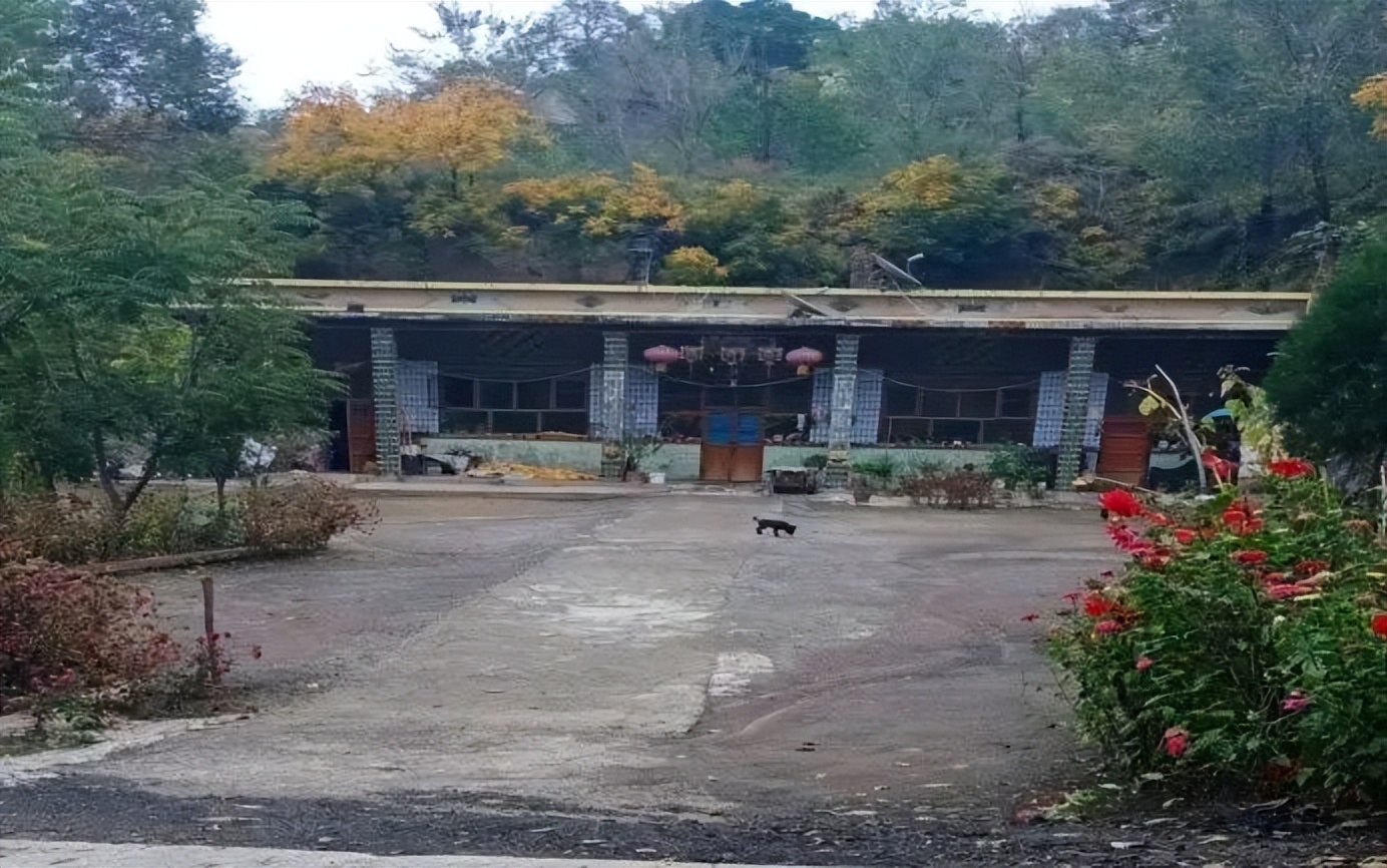 ​母校之地——船窟行作者：陆生吉