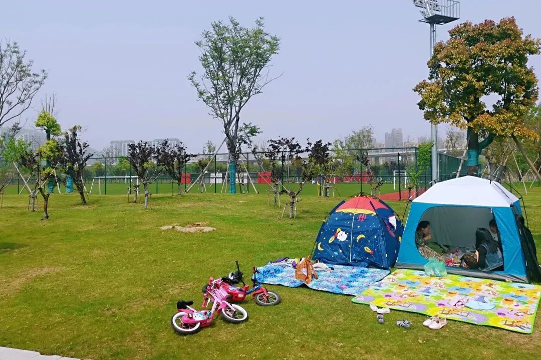 杭州临平粉黛乱子草花海地址,杭州临平30余亩粉黛花海梦幻上线
