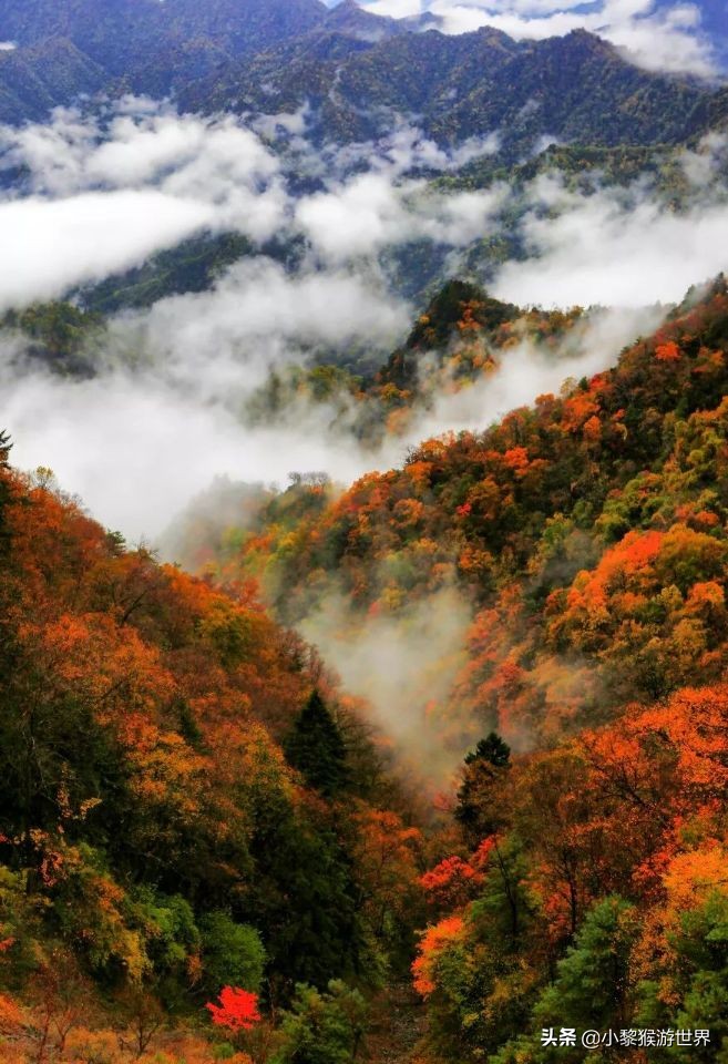 冬季安徽最佳三日游,安徽大别山旅游攻略一日游