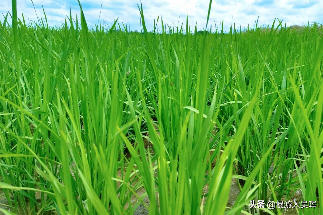 海南环岛游攻略详细行程,海南东线环岛游攻略自由行