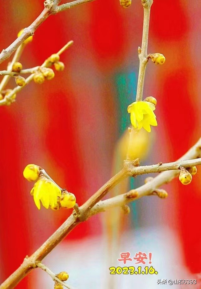 【战友美文】于天松：《过淡年》（诗）——今年您咋过？