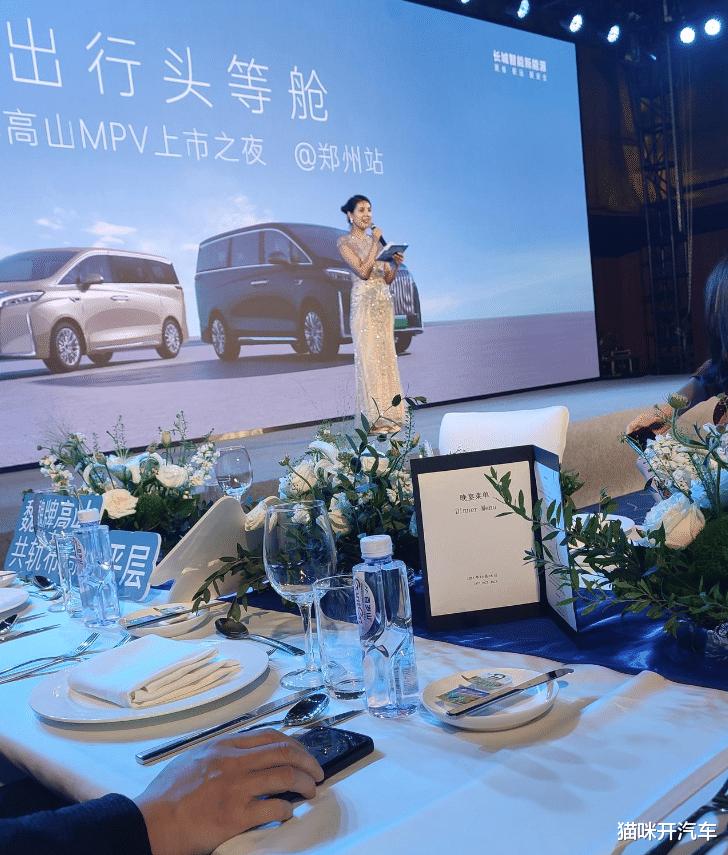 对高山滑雪的感受,对高山的评价