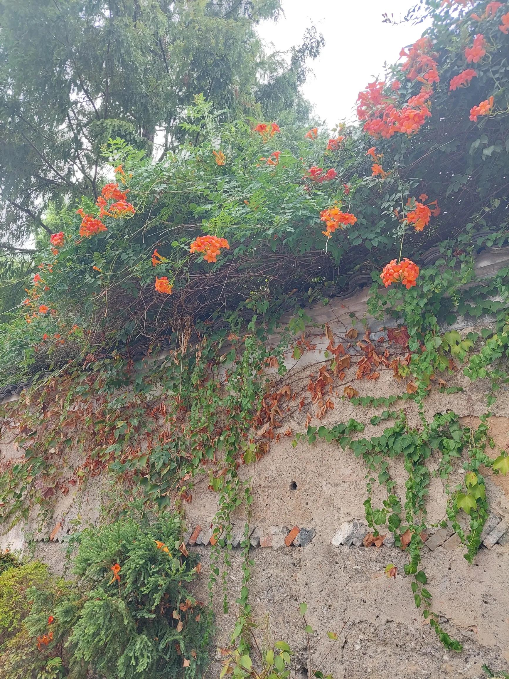 猪八戒职场生存法则,猪八戒的职场智慧