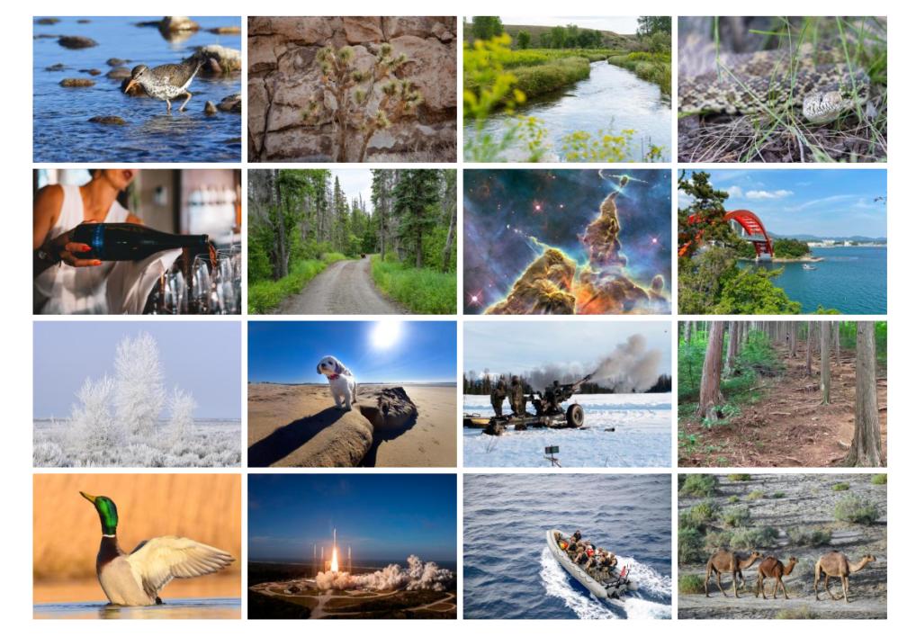 600张免费图片素材下载,六个优质免费的图片素材网