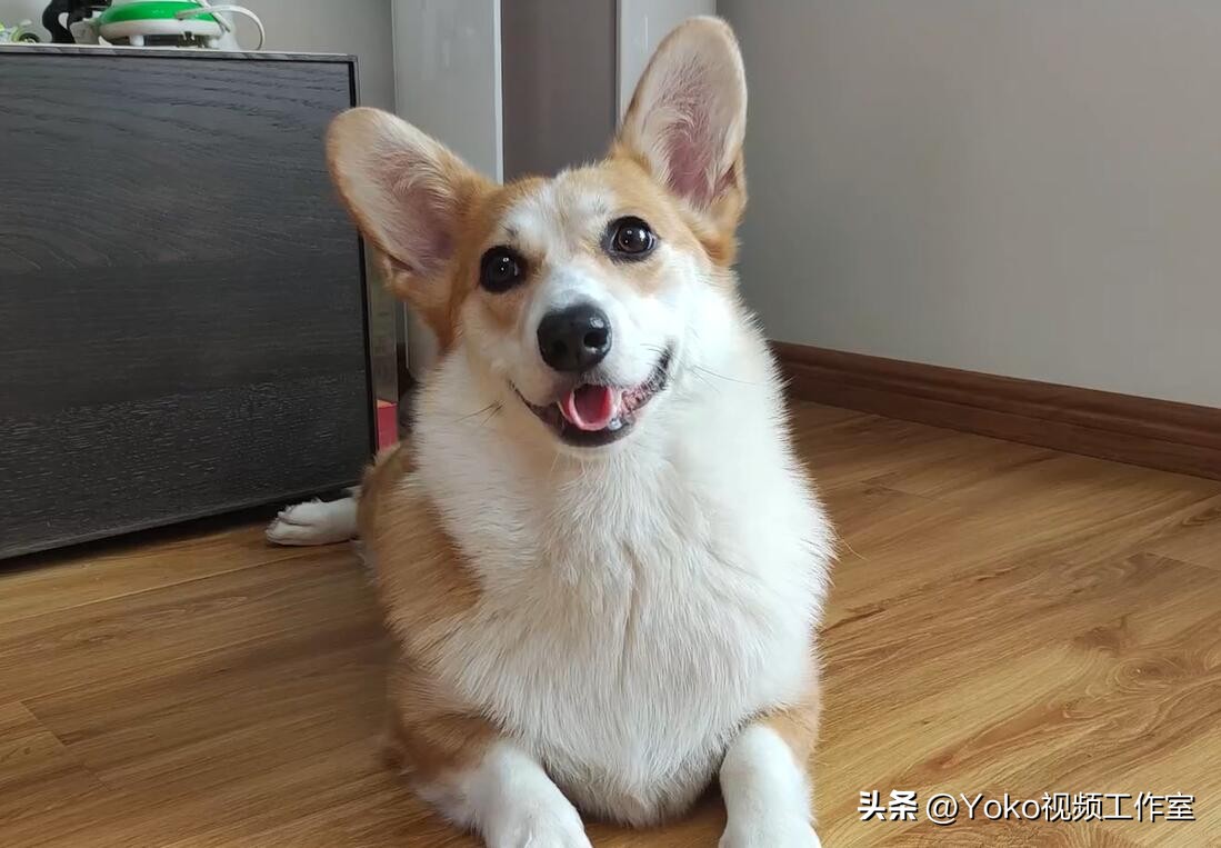 实体店买电脑有多坑,实体店买电脑怎么避开坑