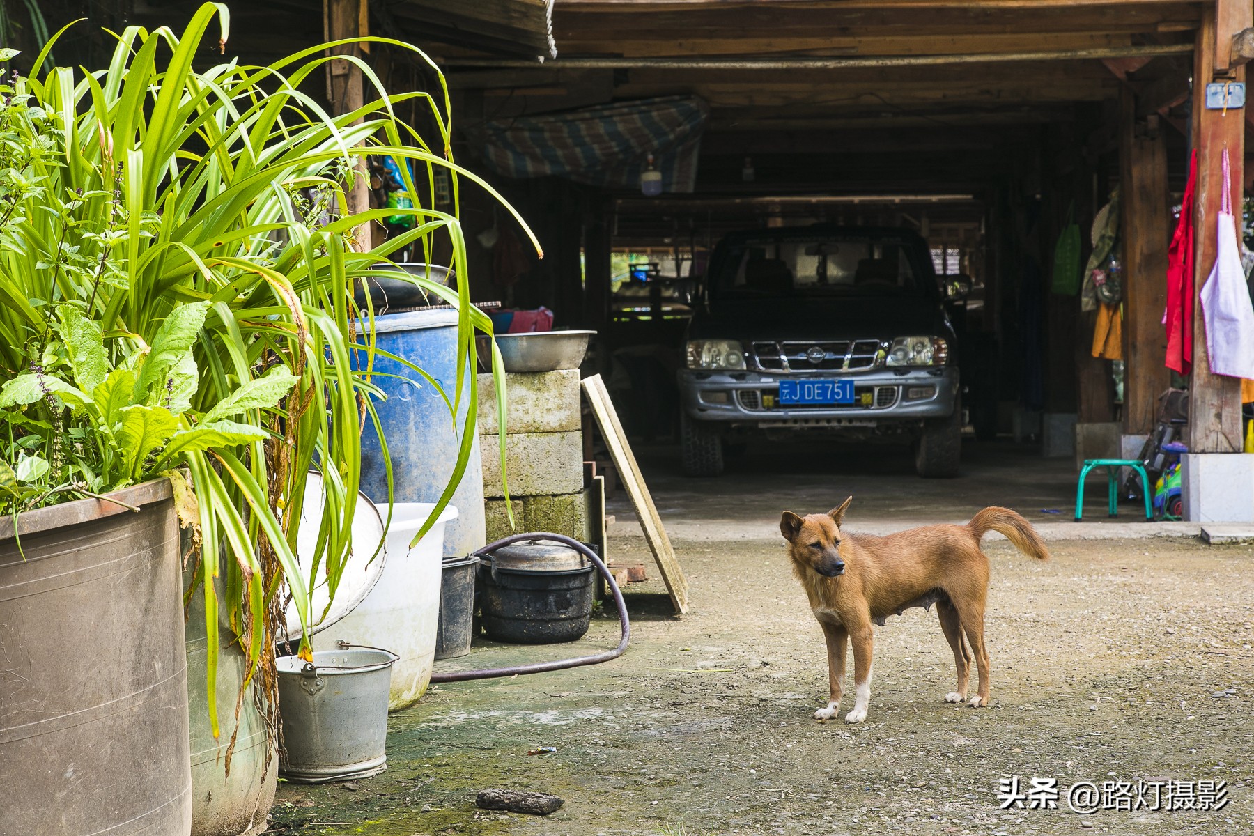 云南最适合养老城市普洱,中国的春城是哪个城市