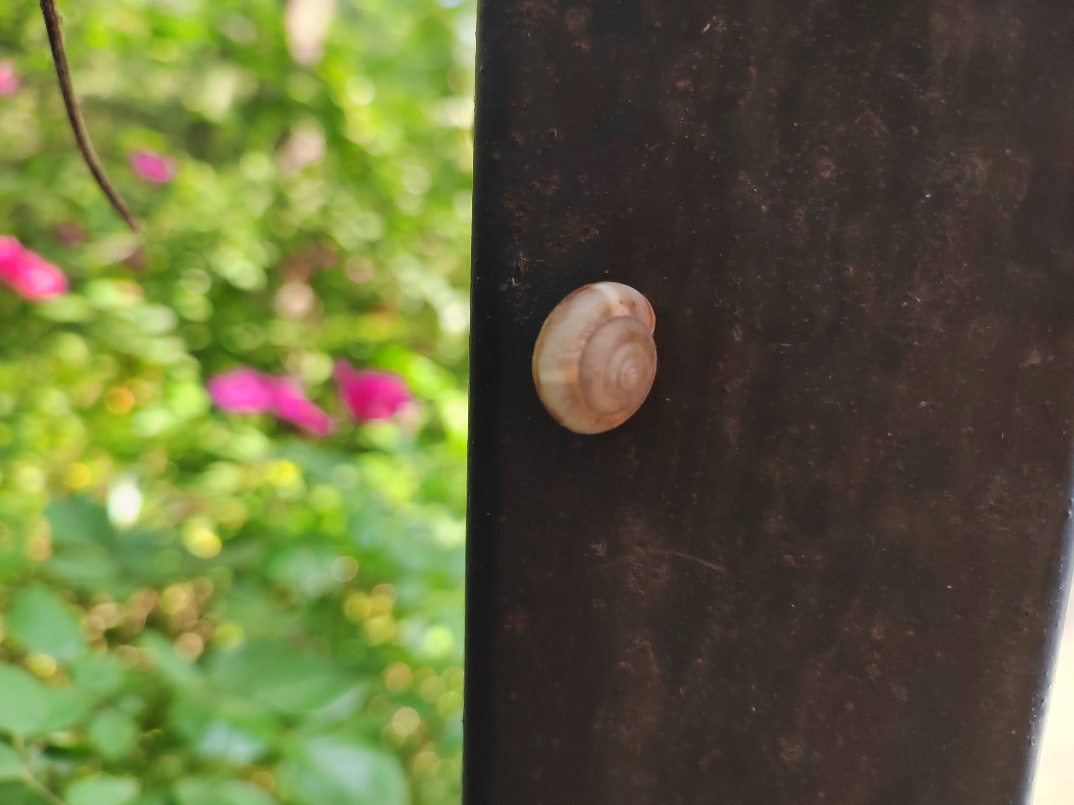 快乐藏在小角落里,美好藏在生活的角落