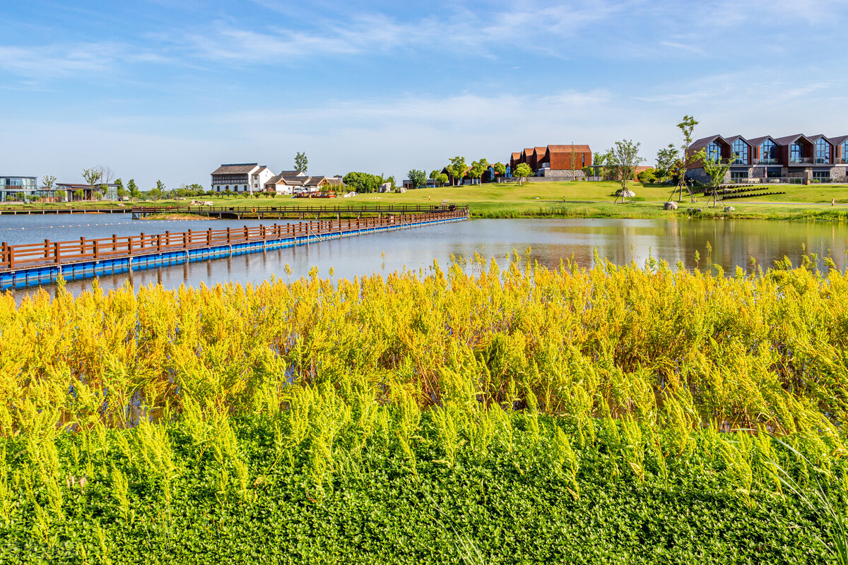 南京周边可以生火露营的地方,南京江心洲露营地点推荐
