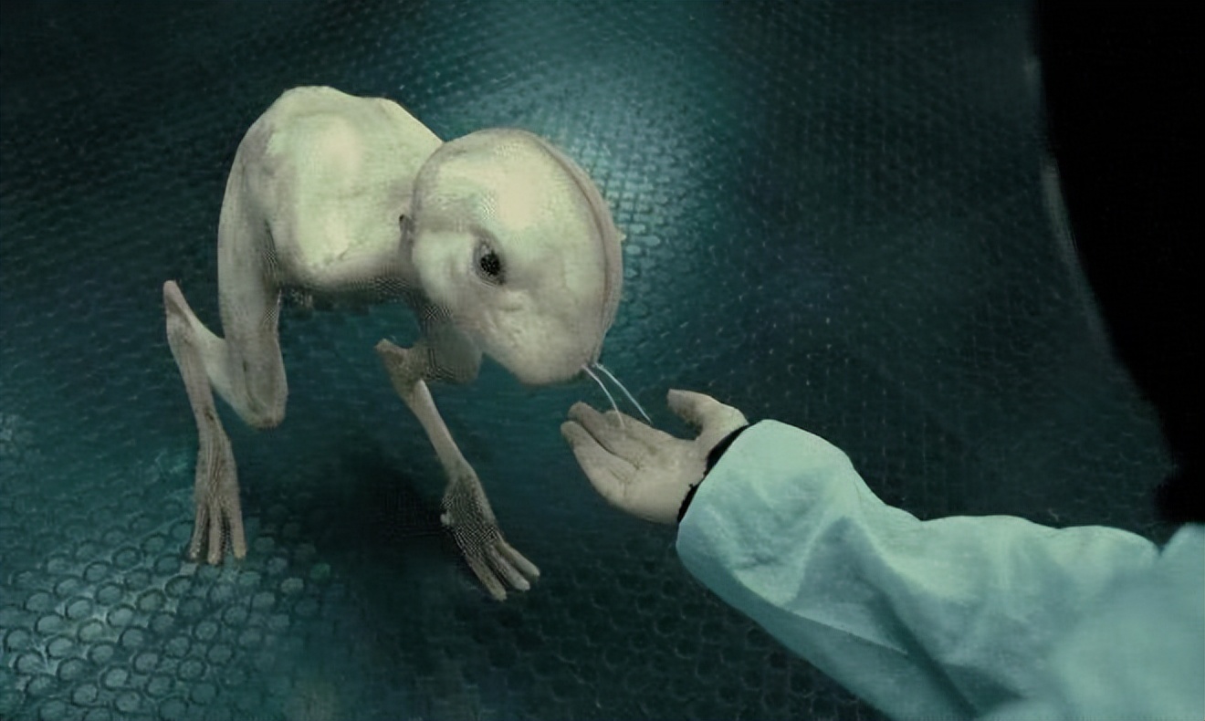 人兽真能杂交？日本批准“人兽杂交胚胎实验”，是灾难还是福音？