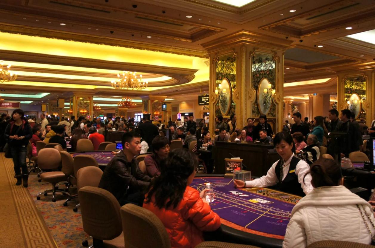 澳门老大崩牙驹成名第一战,澳门老大崩牙驹现状