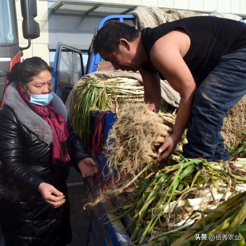 农村大集口罩,农村大集上的口罩