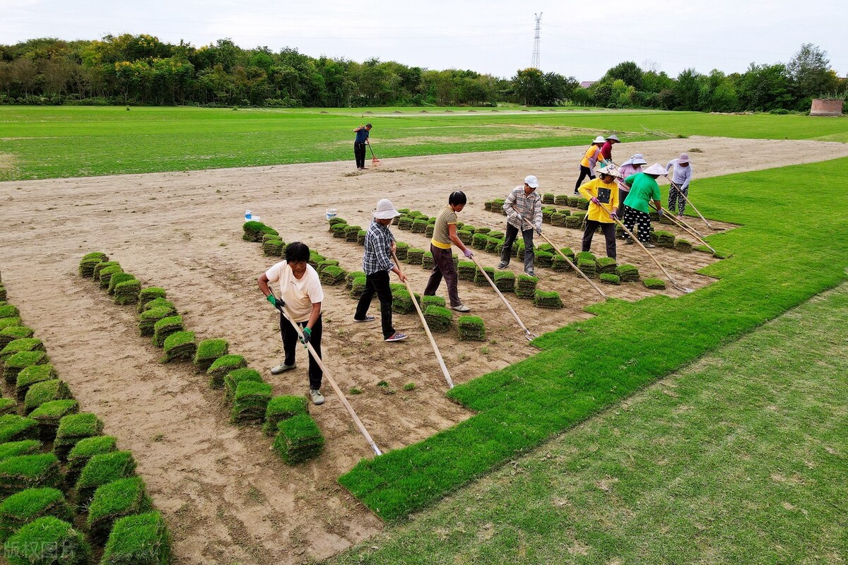 耕地撂荒处理法律法规,撂荒二年以上的耕地要强行收回吗