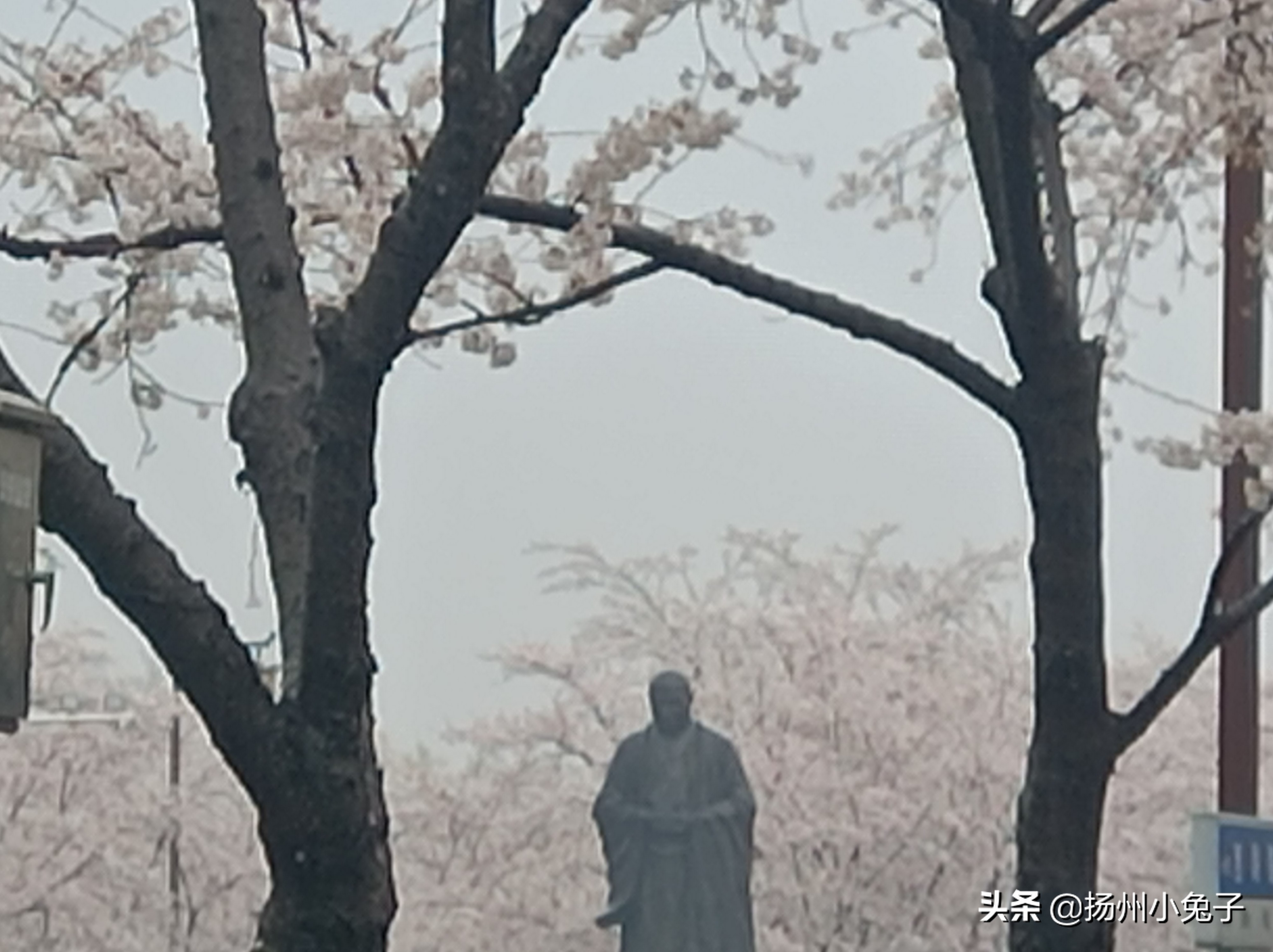 善行和善心，美好的理想