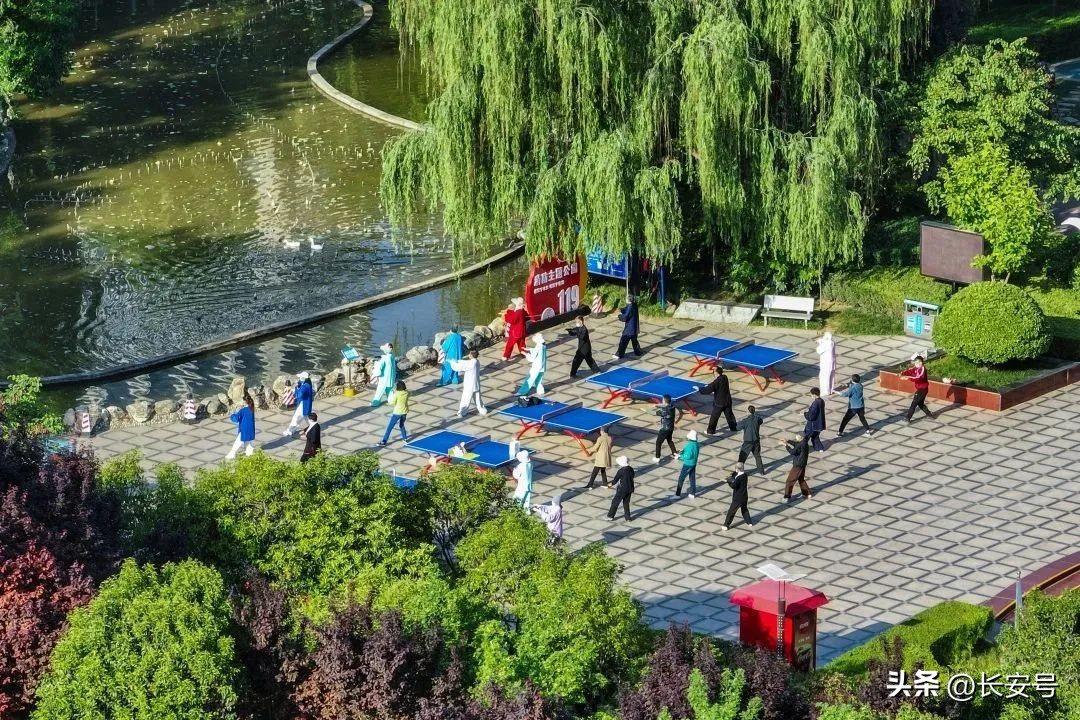 经发集团重点项目建设,成都经开发展集团战略