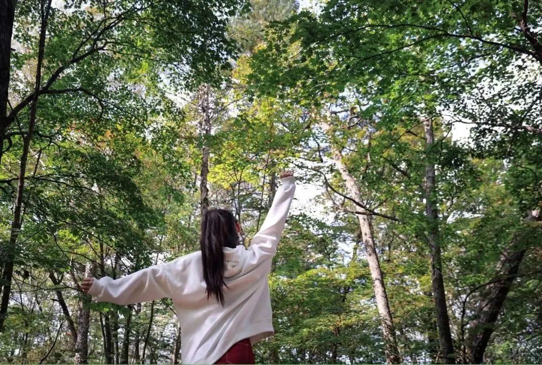 滑雪场开启夏季游,夏季开放的滑雪场