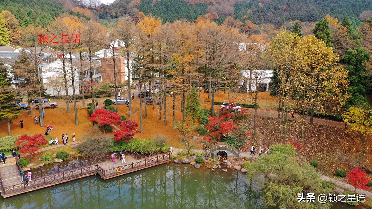 宁波四明山秋色,宁波仰天湖大草原