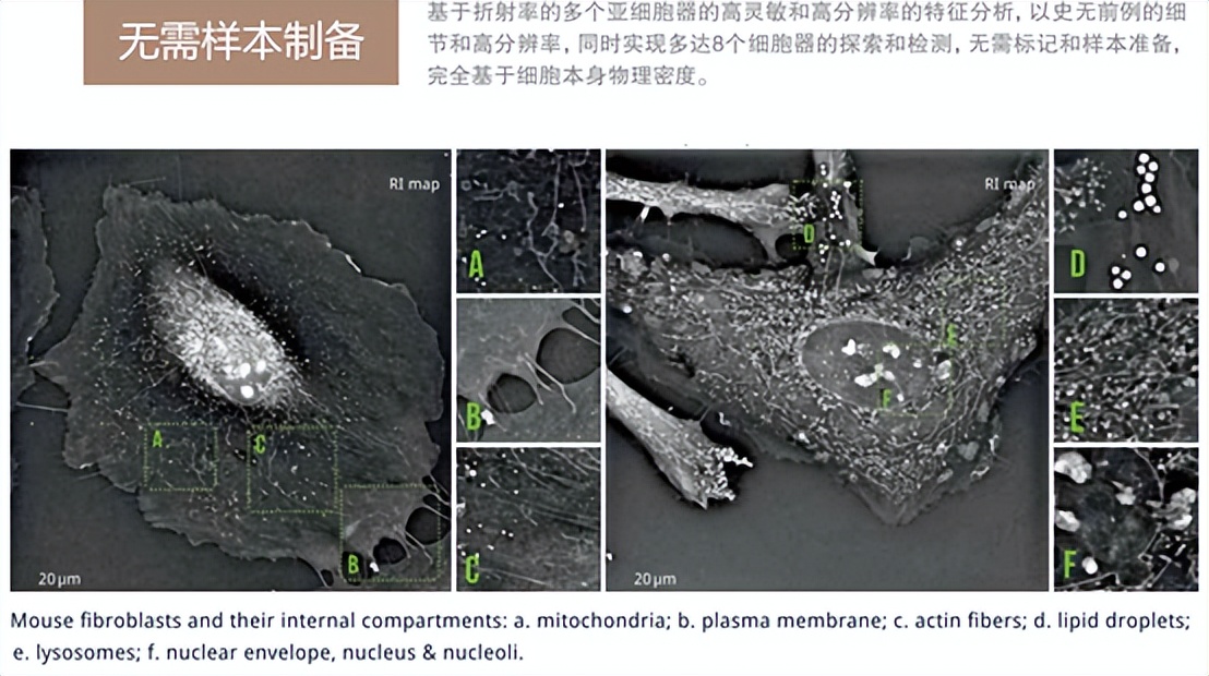 nanolive显微镜,nanolive3d活细胞成像