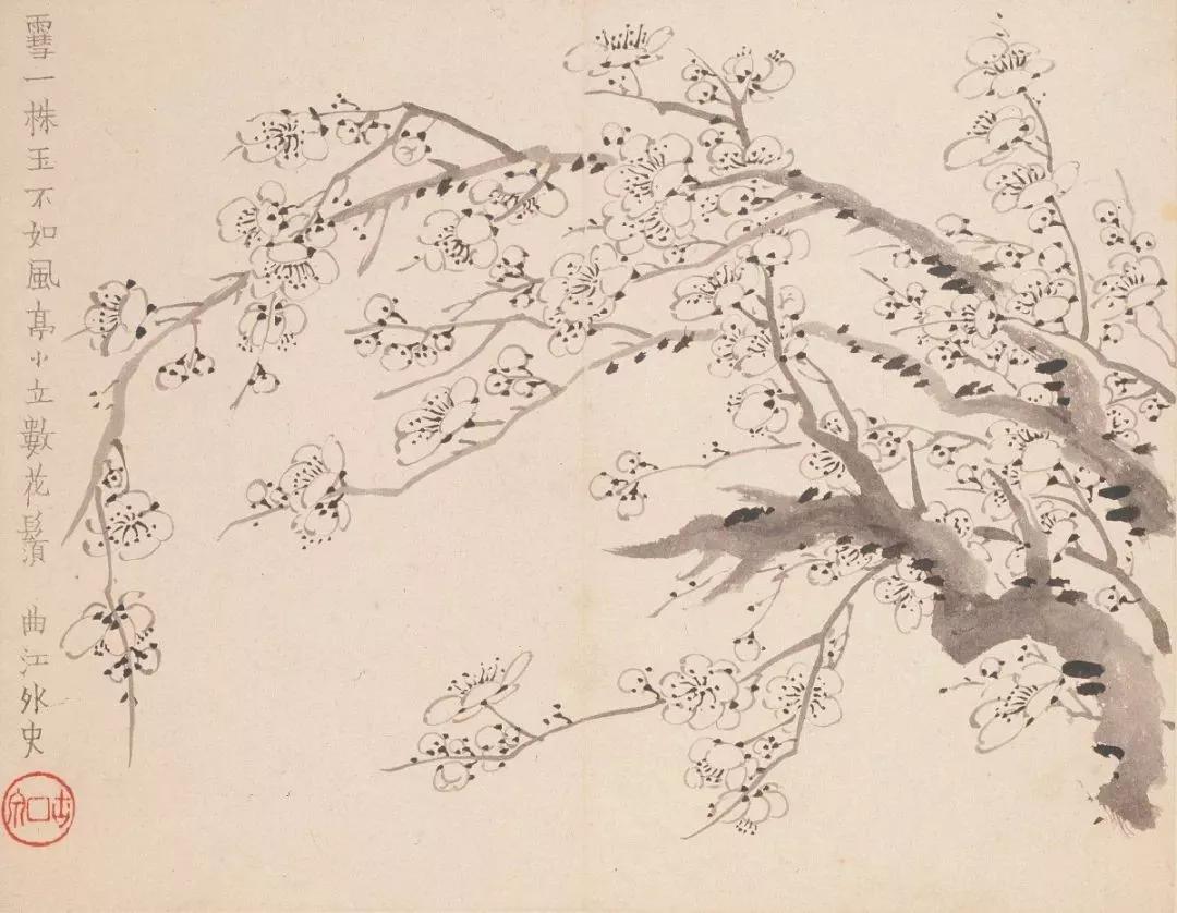 清代九大名家花鸟册页欣赏,清朝九大名家花鸟山水图