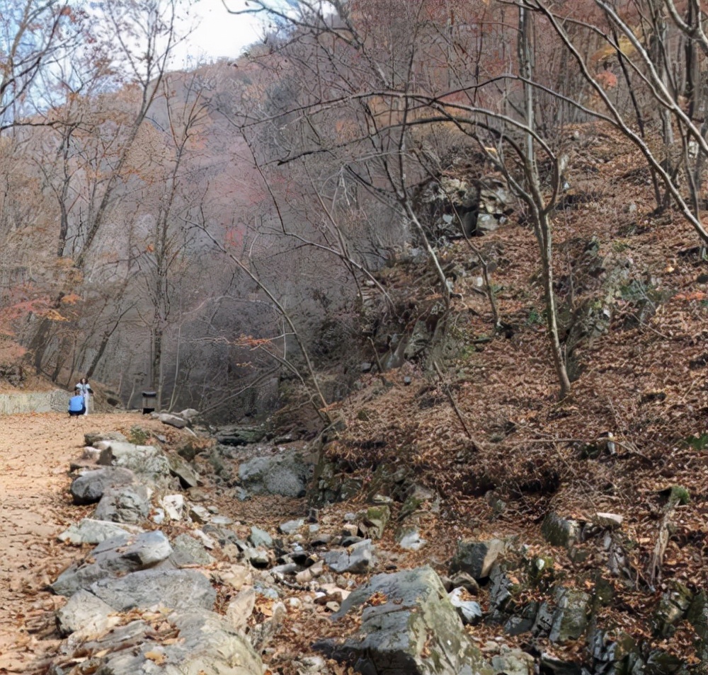 安全出行米其林轮胎,安全舒适轮胎