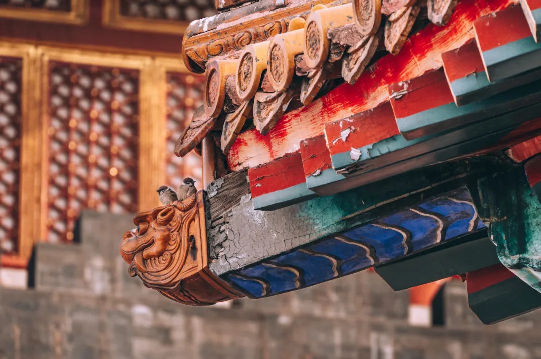 尼康z6ii24-50拍摄效果,尼康z6ii定焦镜头推荐