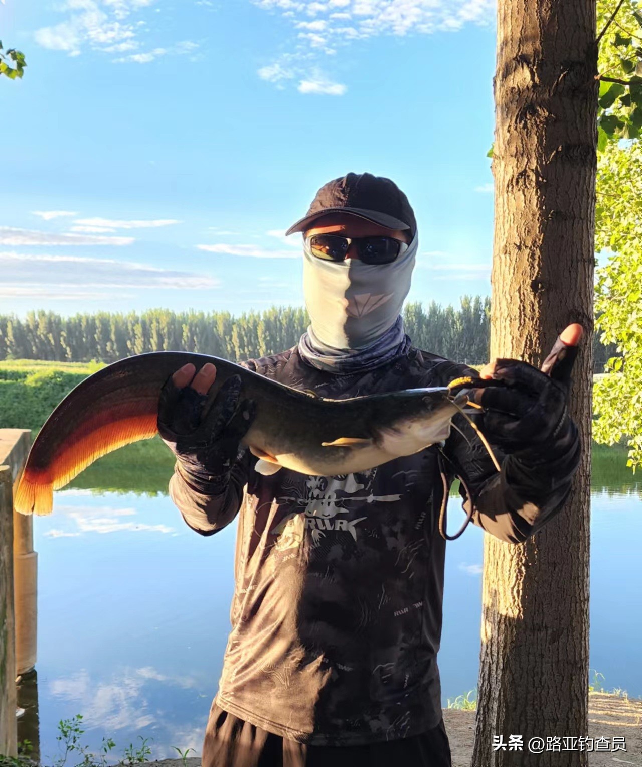 本塑路亚箱旗舰店,本塑路亚箱2024款