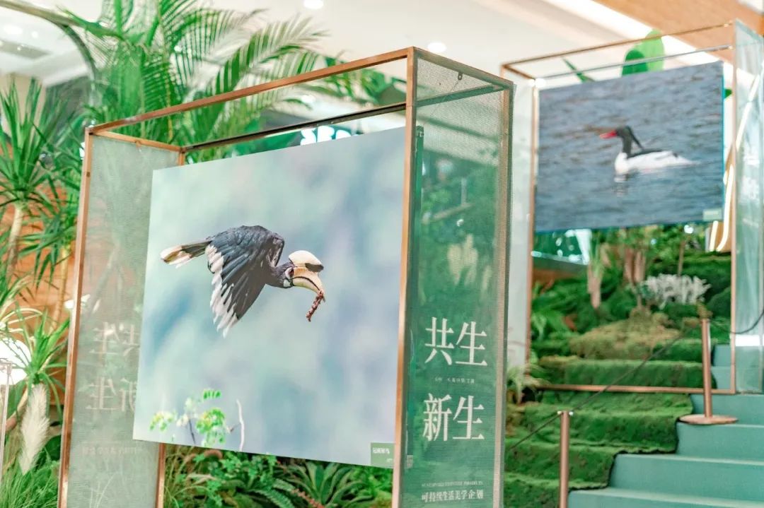 从理念到实践,低碳消费如何进mall