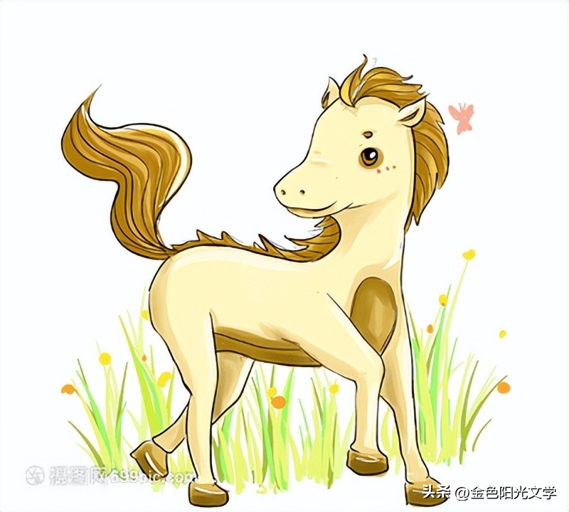 可爱的小仓鼠可爱的小熊,可爱的小仓鼠和小乌龟