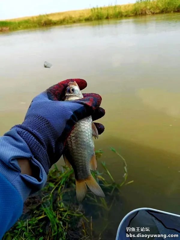 双铅钓流水要用吃铅大的漂吗,双铅跑铅真的抗流水吗