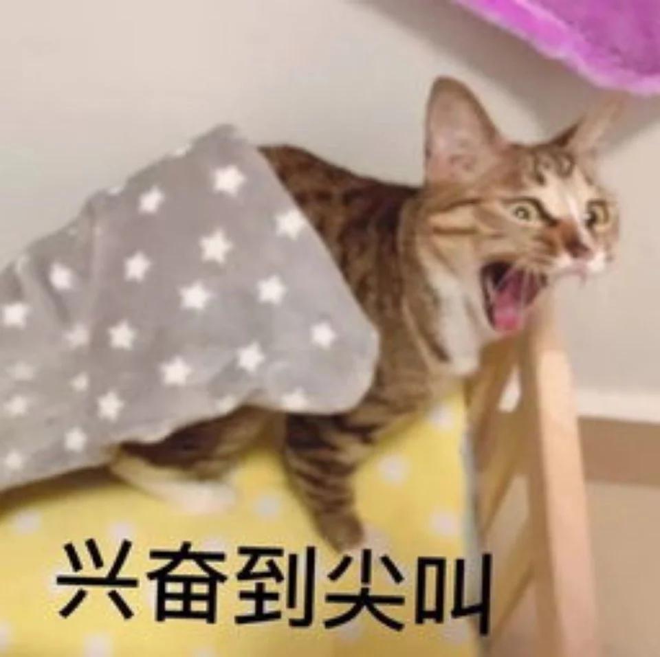 天津元宵灯会庙会景点哪个好玩,天津春节逛庙会看灯会指南