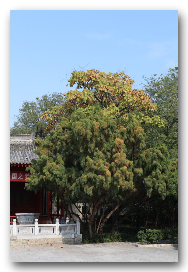 李靖故居研学,李靖故居全部视频