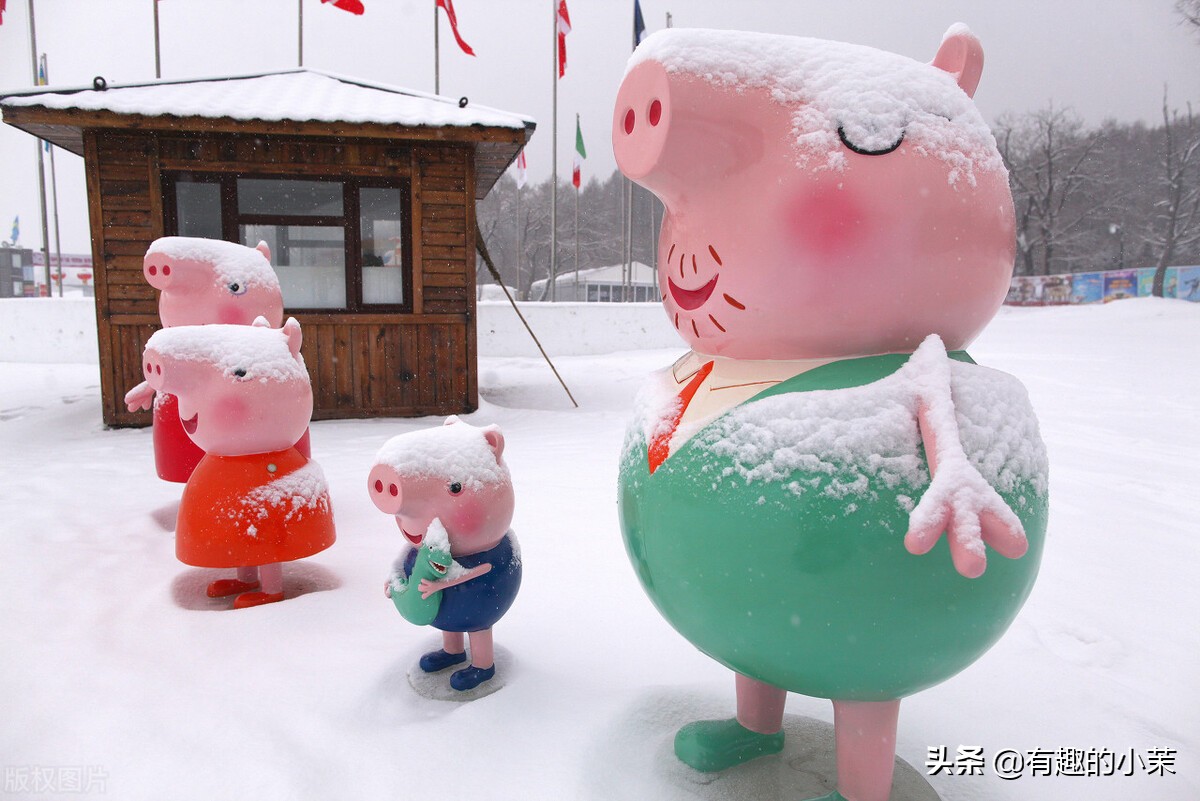 每日一笑话,每日一笑话大全