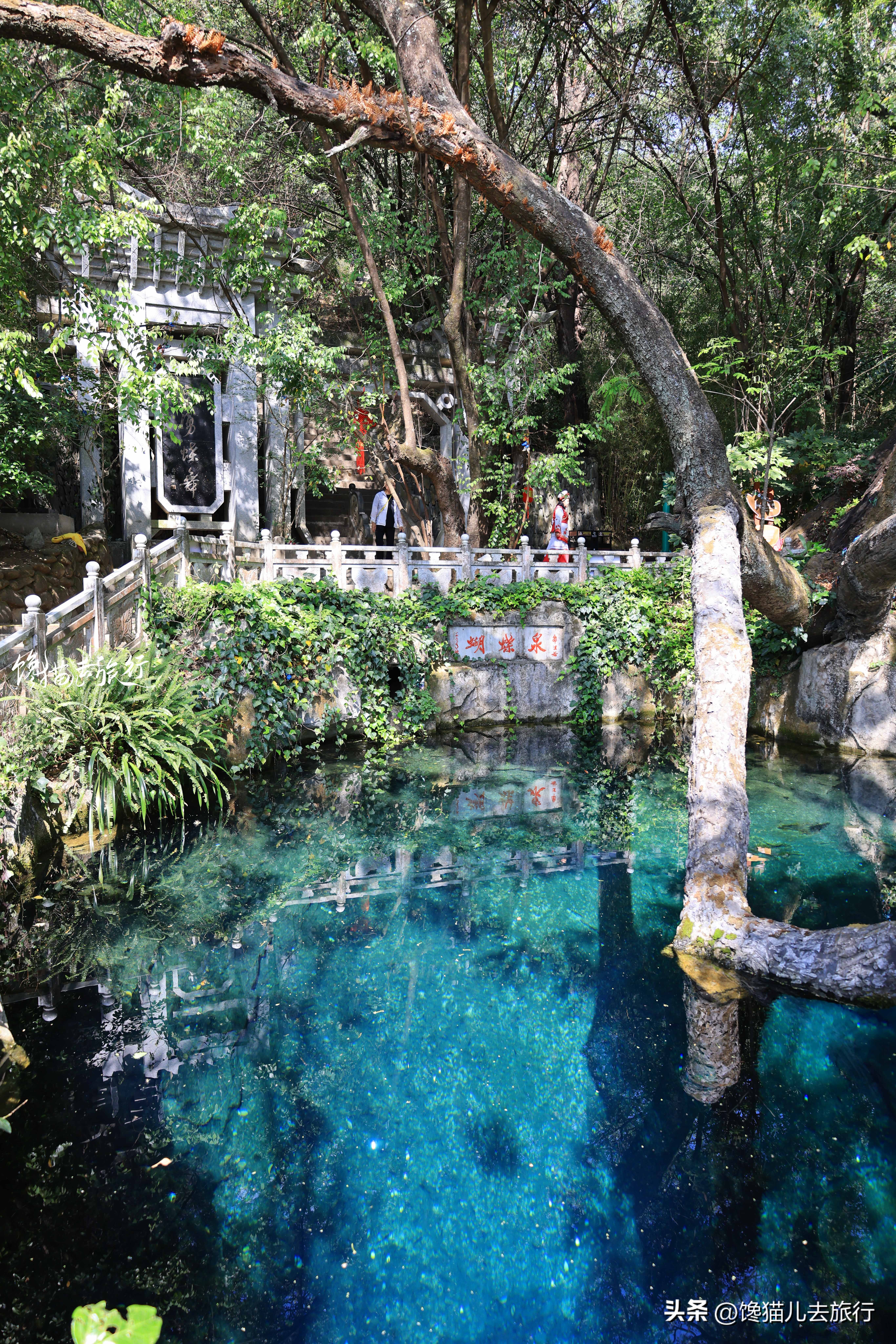 春节期间大理有哪些景点门票免费,大理免费景点一览表