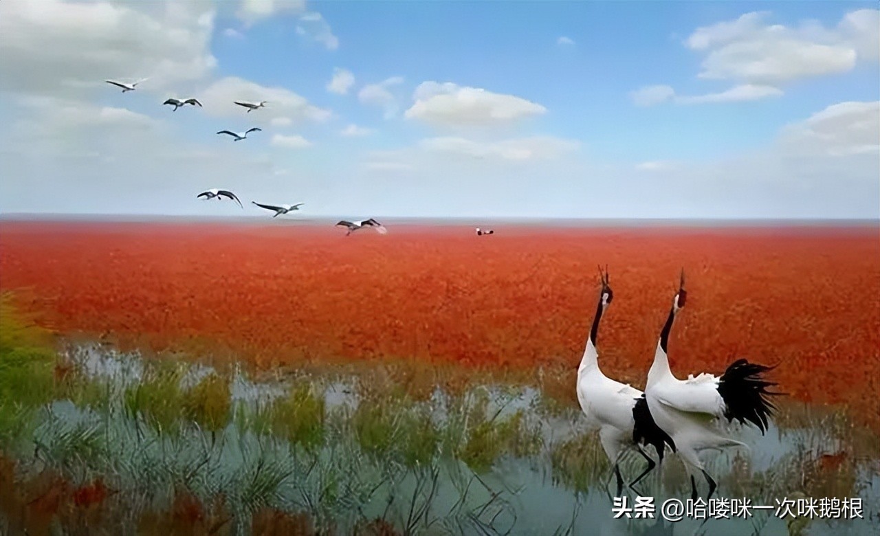 真实案件南京美食街碎尸案,南京美食街碎尸煮尸案当事人