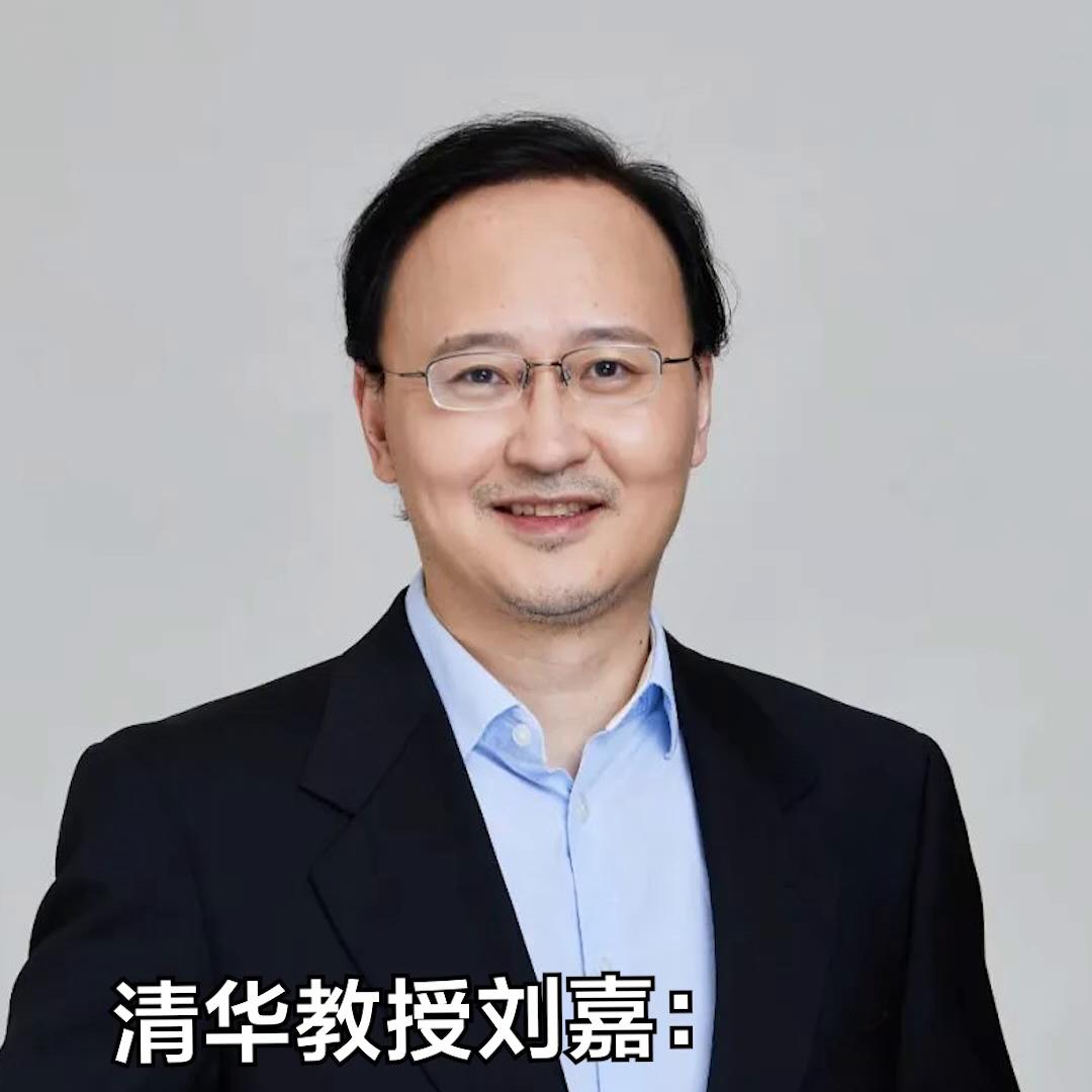 清华教授刘嘉,刘嘉清华大学教育