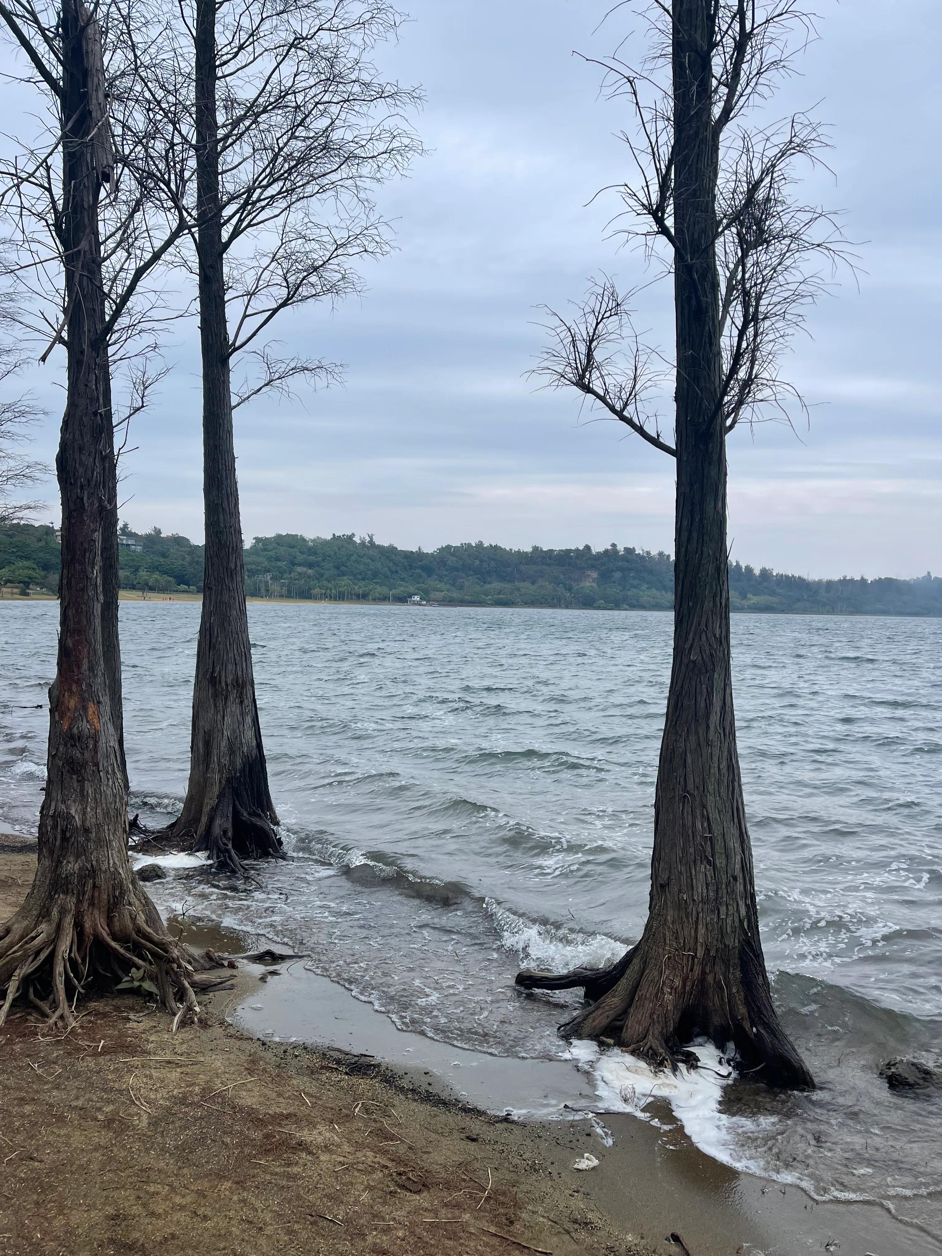 云南旅居养老最好的地方,海南旅居养老基地排前十名