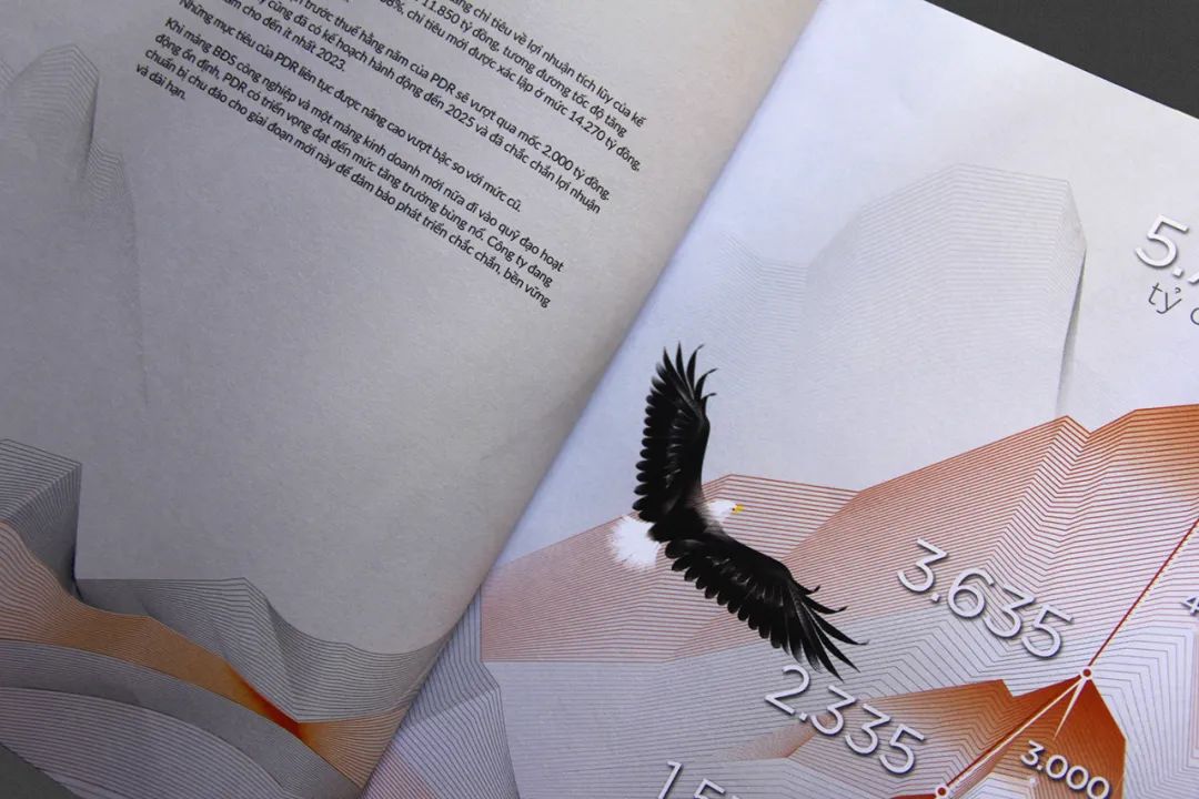 #海空设计#|越南·PhatDat房地产(2020)年度报告